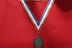 2008 Florida Regional Chairmans Award Medal